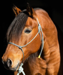 repgrimma svartmelerad