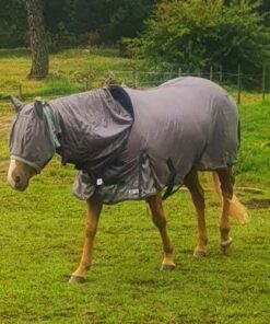 flugtäcke för häst