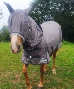 Flugtäcke till häst