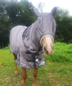 flugtäcke för häst