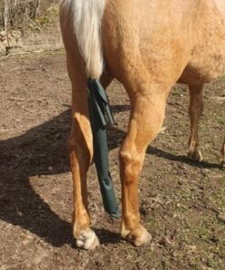 svanspåse, tail bag grön