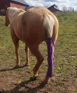 svanspåse, tail bag lila