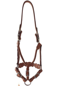 showgrimma för showmanship quarter