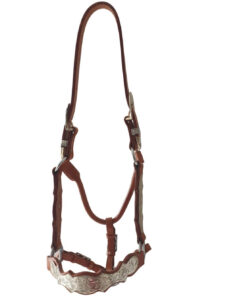 showgrimma för showmanship quarter