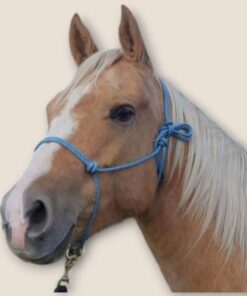 repgrimma med ring i mässing från Sonakull