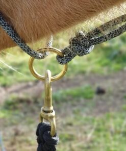 repgrimma med ring i mässing från Sonakull