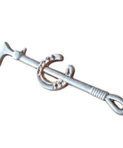 plastrongnål hästsko