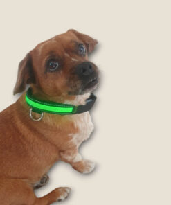 Reflexhalsband med ljus
