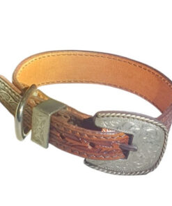 halsband i läder till hund