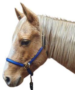 Tvåfärgad Nylongrimma från Equitqre