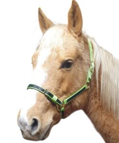 Nylongrimma tvåfärgad med justerbar nosdel.