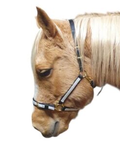 Nylongrimma tvåfärgad med justerbar nosdel.