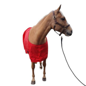 rött hästtäcke i nylon