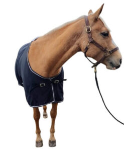 Svart hästtäcke i blank, tunn polyester