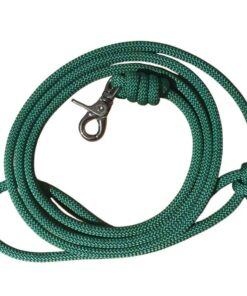 hundkoppel i polyester