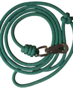 hundkoppel i polyester