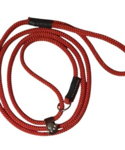 hundkoppel i polyester retrivermodell